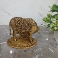 Bromeliad Vriesea - Image 2