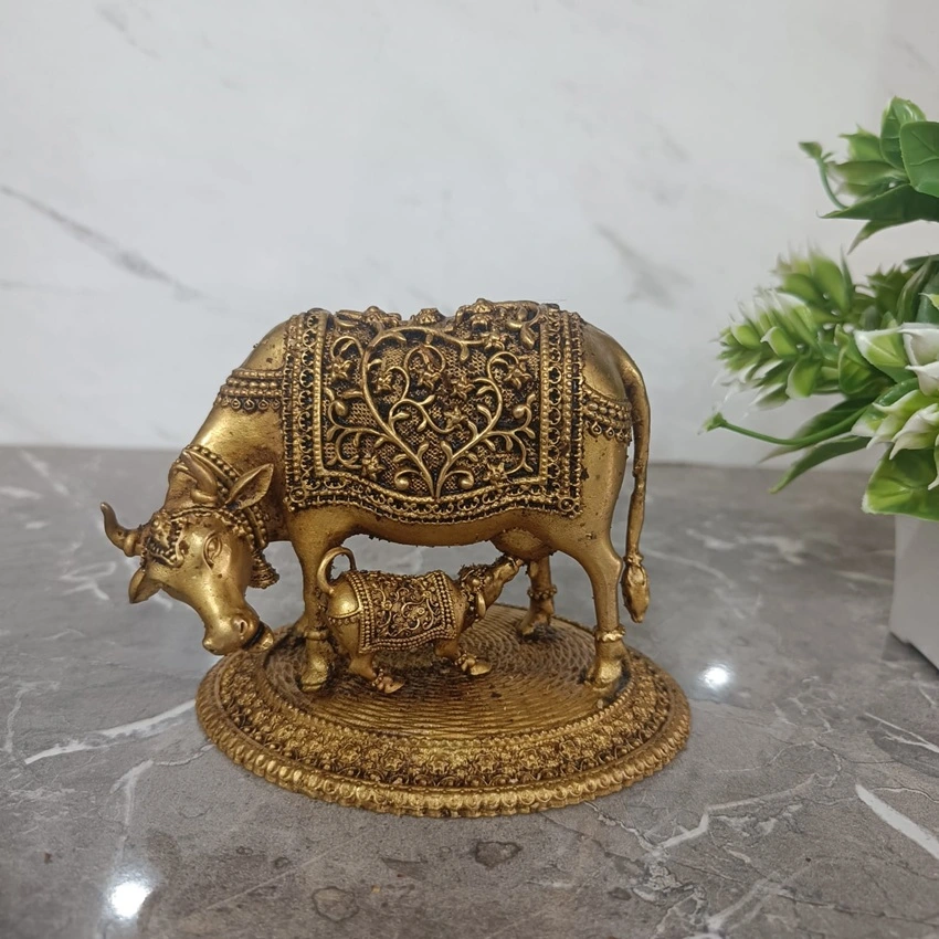 Gai_Mata_Front Bromeliad Vriesea - Image 1