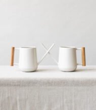 Pilea Peperomioides - Image 5